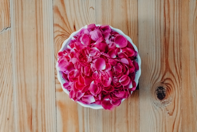 Trenvexandrelia o nas